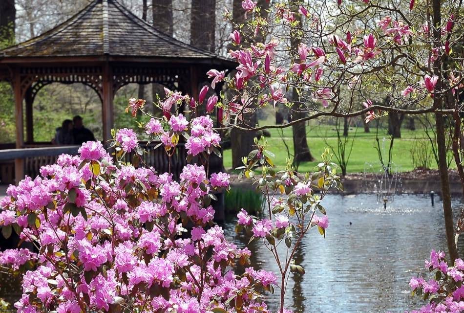 gazebo and pond