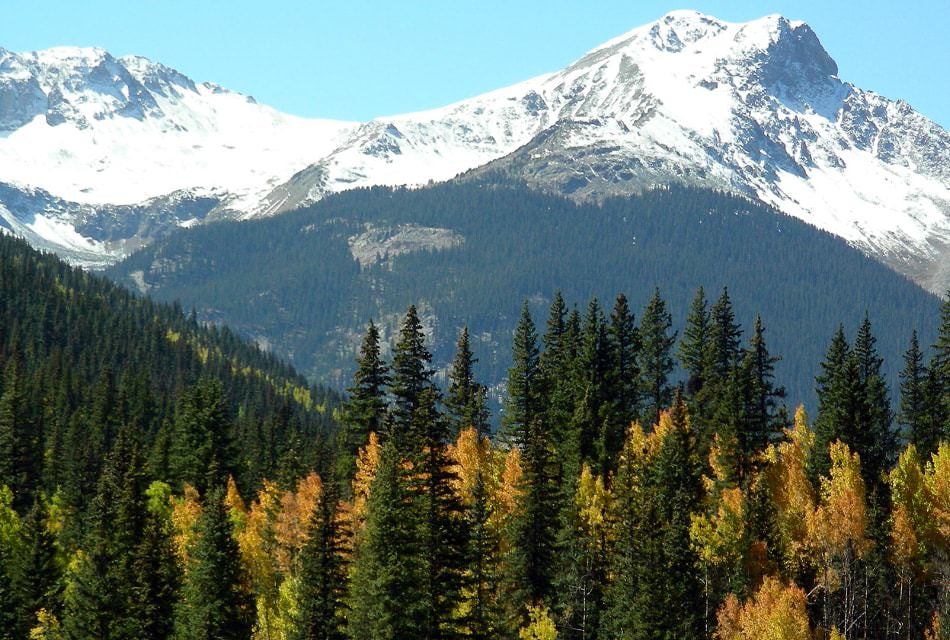 snow covered mountains